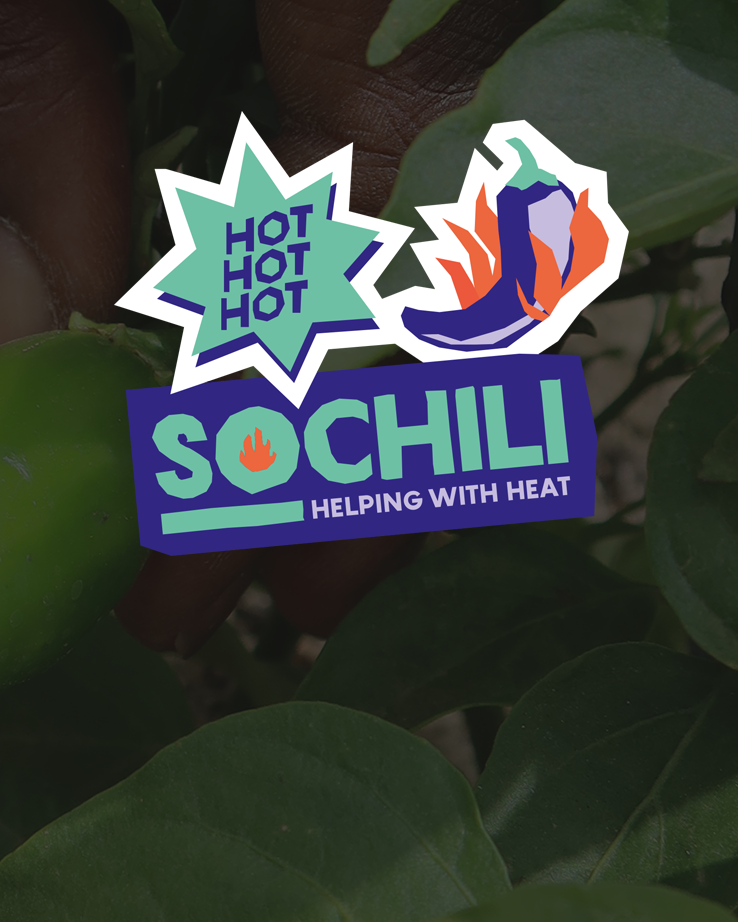 SOCHILI HELPING WITH HEAT collage of stickers on a background of a chili growing in a field.